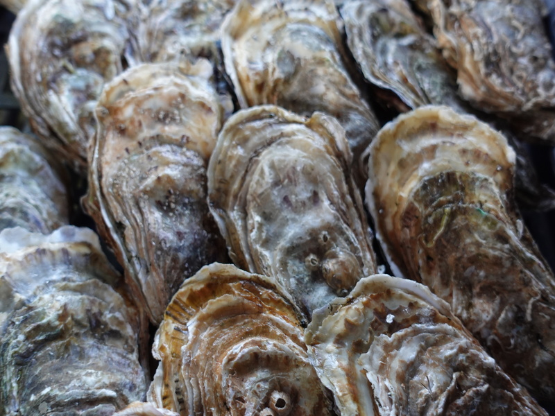 Vente et Dégustation sur place d'Huîtres Vente et Dégustation sur place d'Huîtres